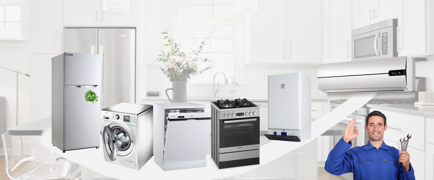 Bayraklı Grundig Servisi